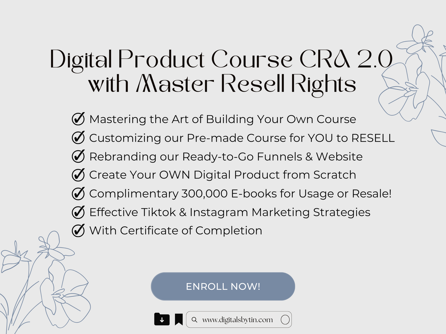 BASIC BUNDLE - Digital Product Creation Course with Master Resell Rights | digitalsbytin